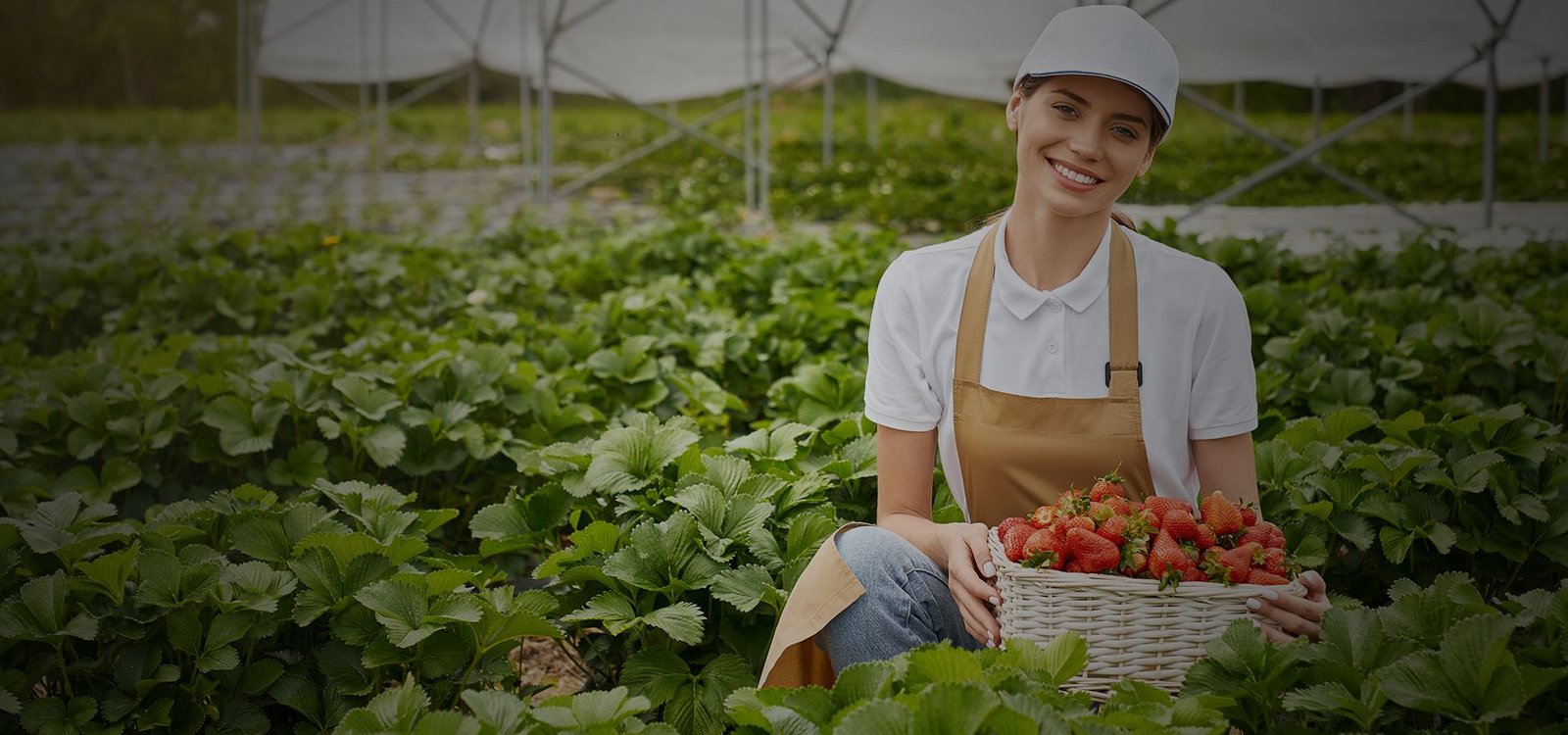 خدمات زراعية واستشارات وتدريب ميداني